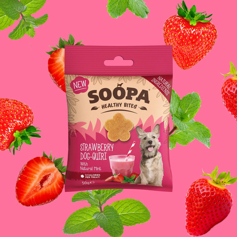 Strawberry Dog-Quiri Healthy Bites – Dog treats