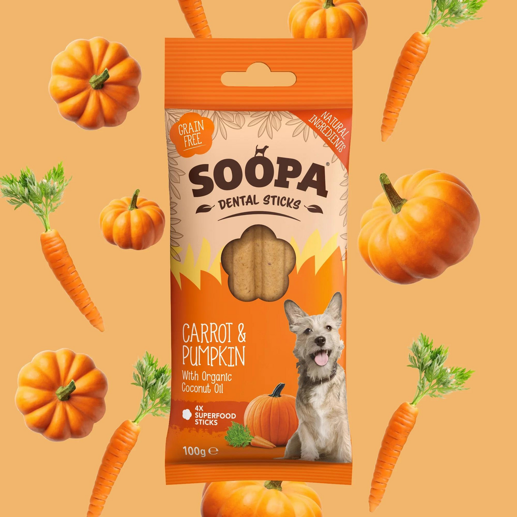 Carrot & Pumpkin Dental Sticks - Dog Treats